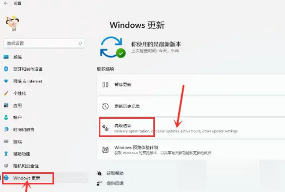 Windows11传递优化怎么开启用什么办法？-三零软件