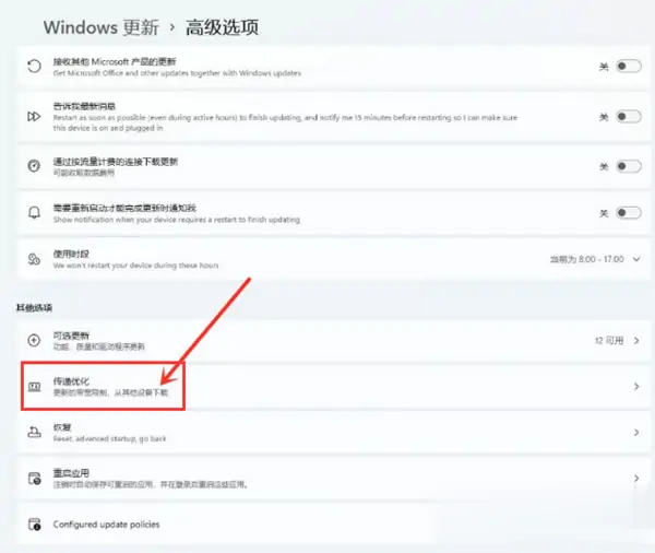 Windows11传递优化怎么开启用什么办法？-三零软件